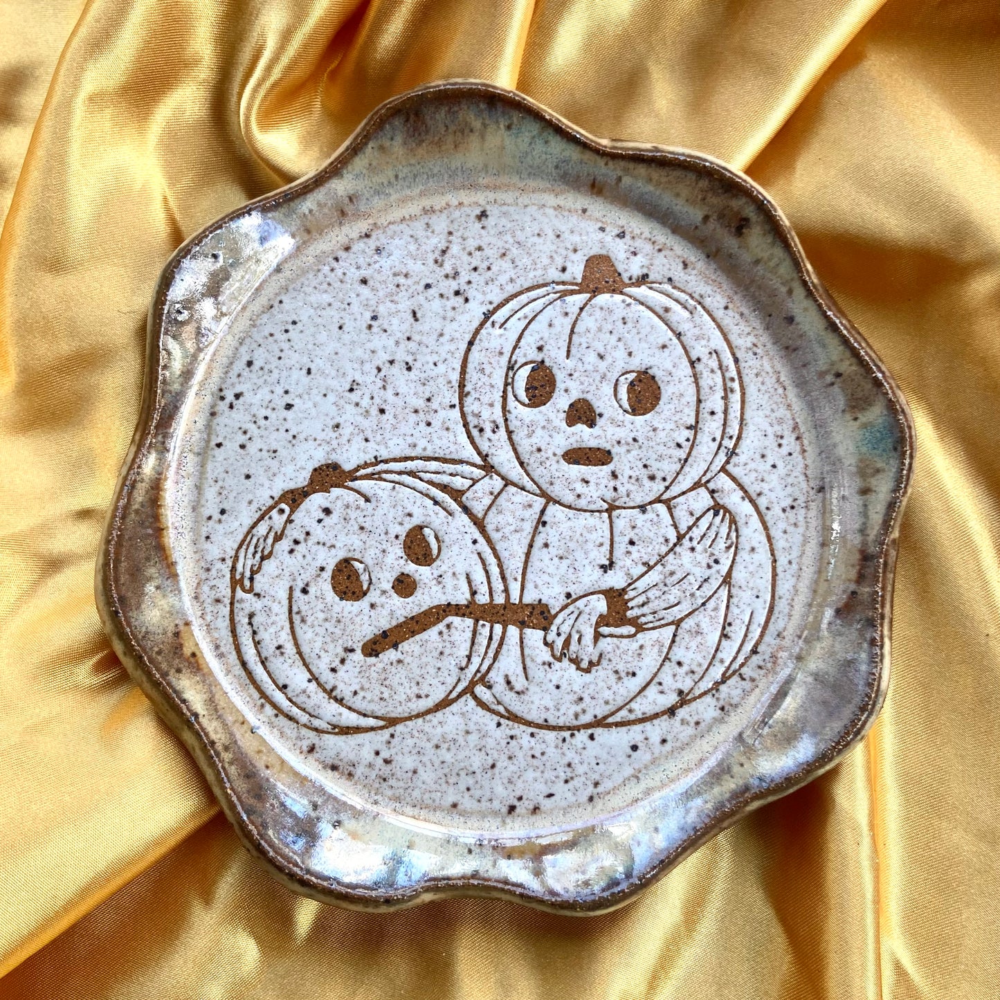 Small OTGW Dish