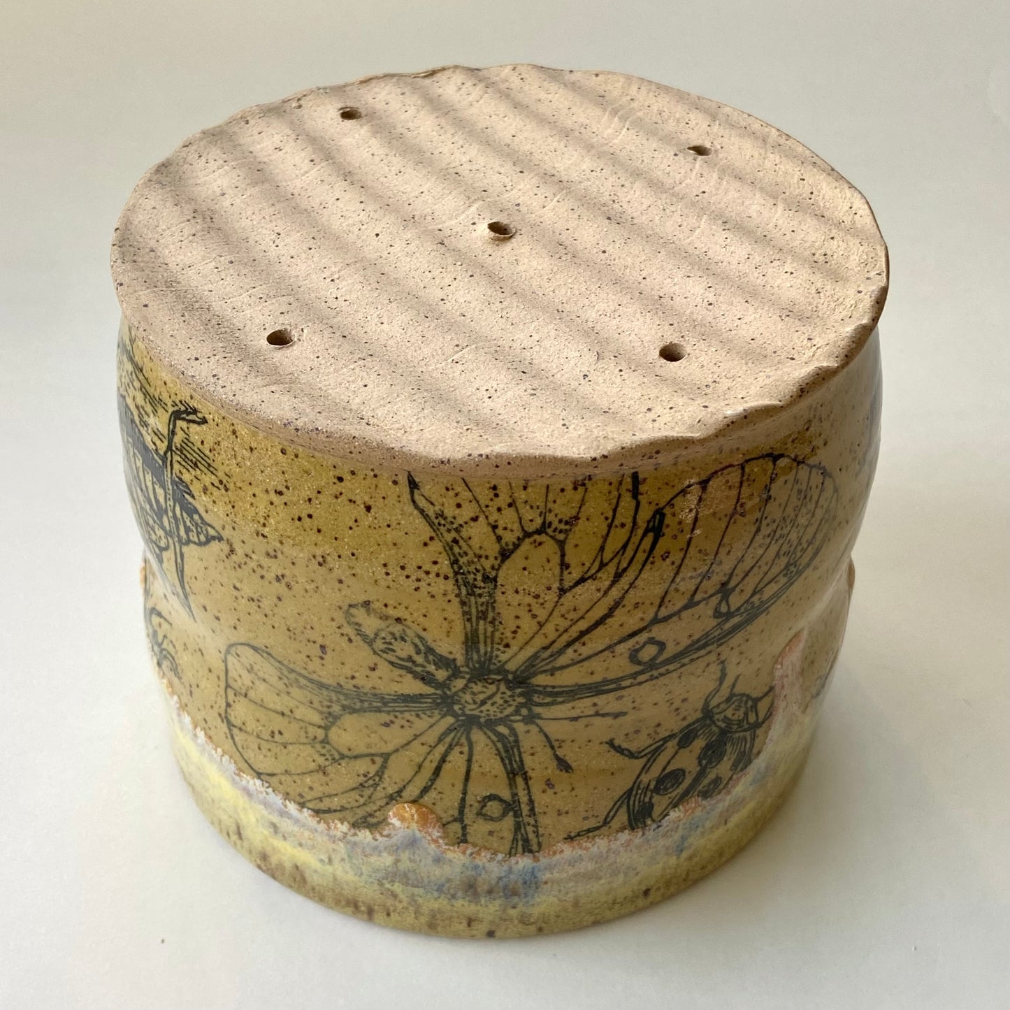 Insect Planter