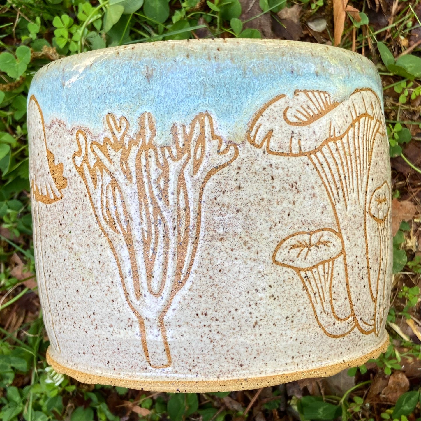 Large Mushroom Planter