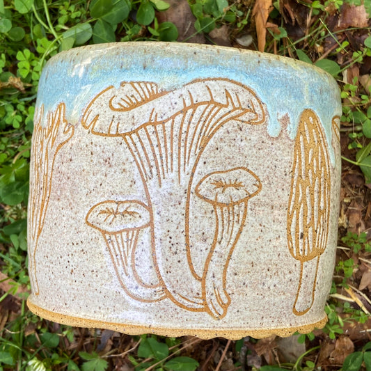 Large Mushroom Planter