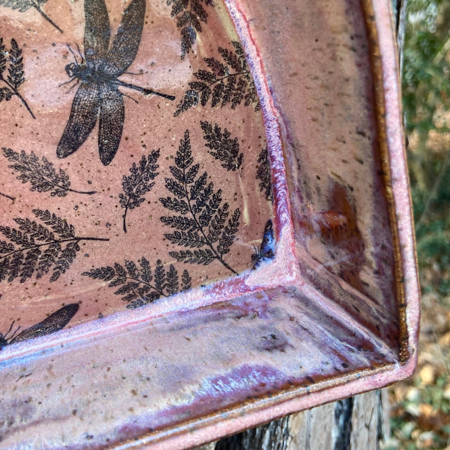 Small Insect Wall Altar